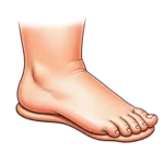 Imagen que representa a un pie plano